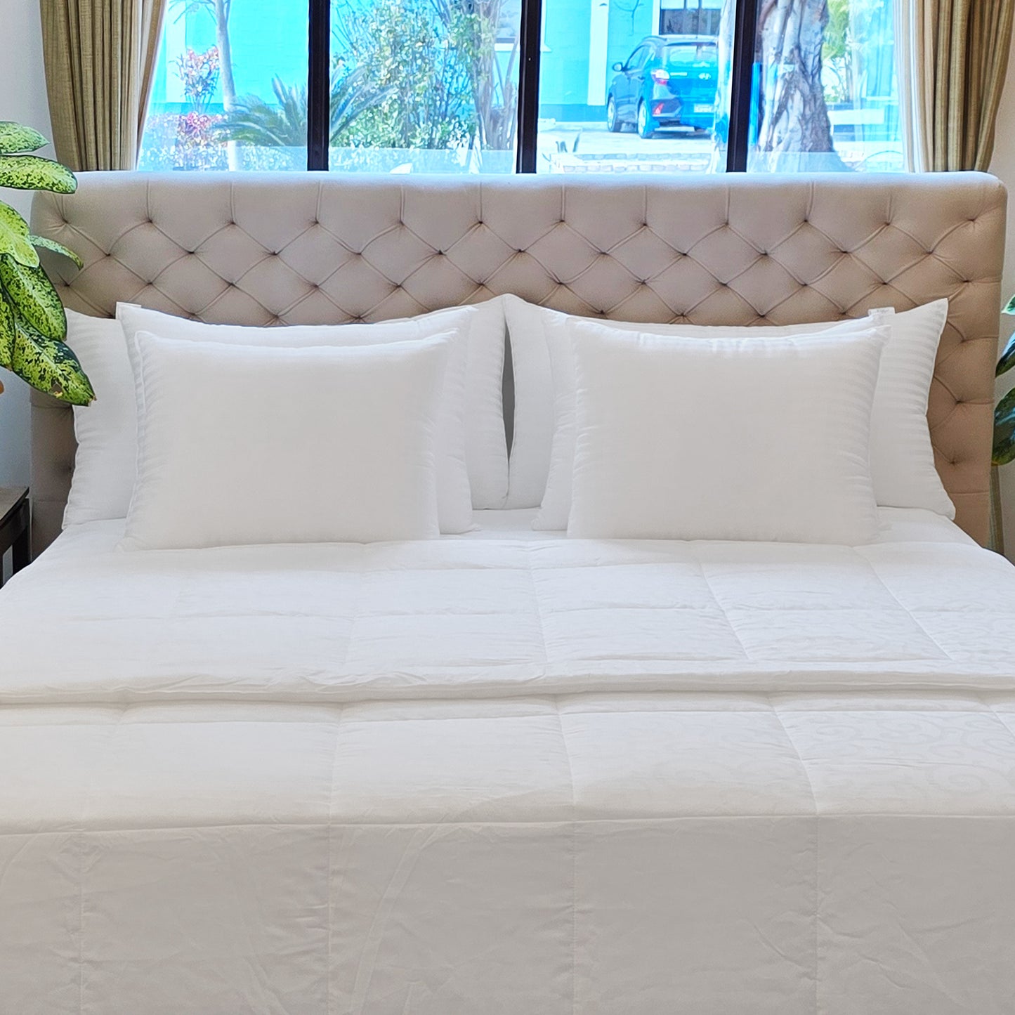 Pillow